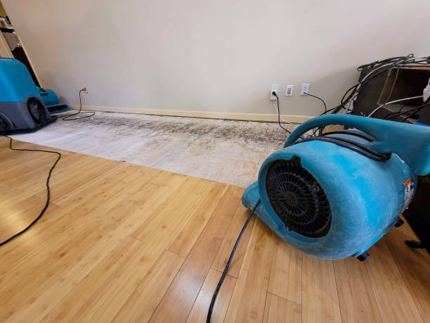 Professional Flood Damage Cleanup technician working in Healdsburg, CA